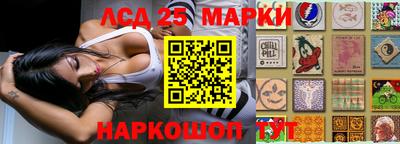 спиды Заводоуковск