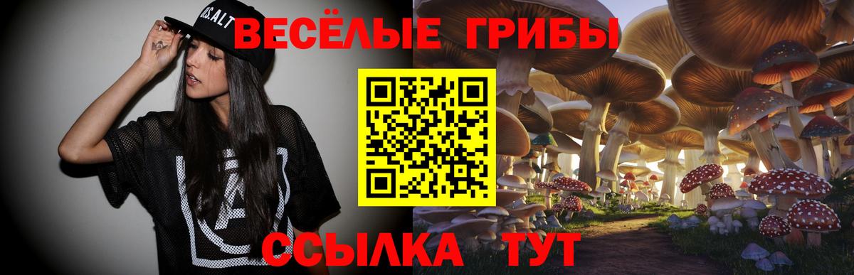 Псилоцибиновые грибы ЛСД Нарьян-Мар
