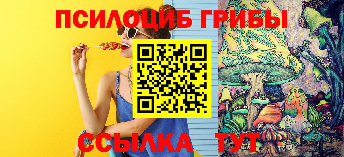 Нарьян-Мар  Псилоцибиновые грибы MAGIC MUSHROOMS  Вход с VPN 